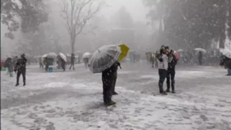 Upcoming Wet Weather in J&K Leaves Skiers Disappointed Over Lack of Snow in Gulmarg