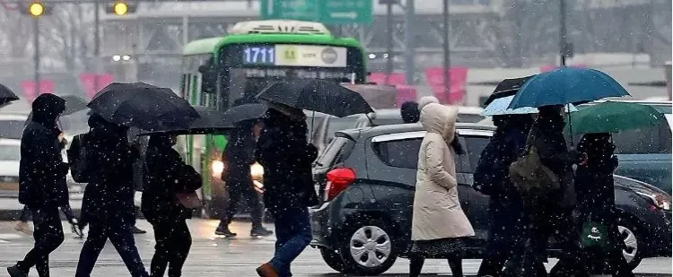 Rise in Anxiety and Depression Among South Koreans in 2024: Survey Findings