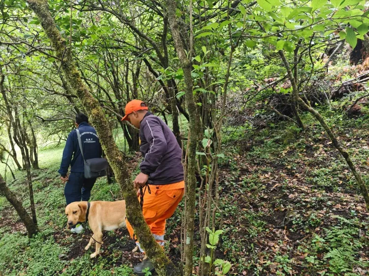 Army, ITBP join Dayara Bugyal search for missing woman trekker in Uttarkashi