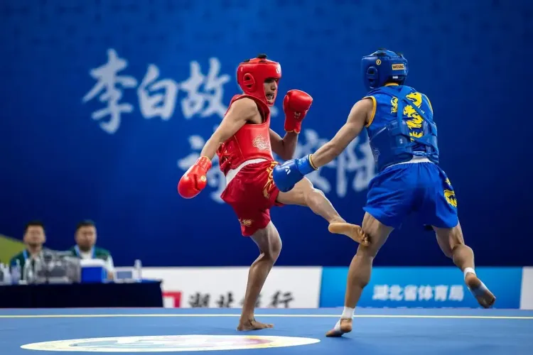 Asian Games 2026: Aryan, Roshibina Devi advance to Wushu quarterfinals