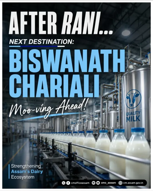 Assam Cabinet Approves Milk Processing Unit at Biswanath Chariali