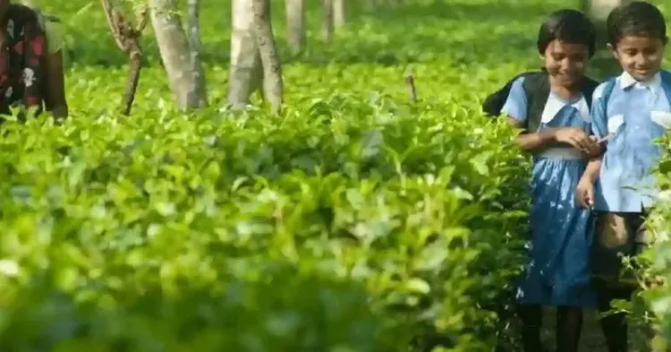 Assam CM Office Launches Transport & Escort for Tea Garden Students