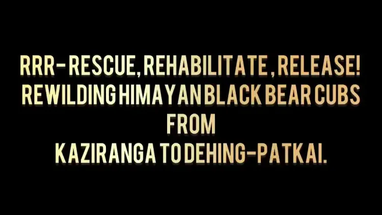Assam CM Office marks World Environment Day with bear cub release