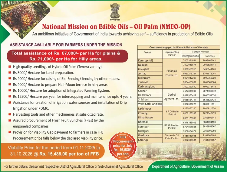 Assam CM Office: NMEO-OP gives farmers ₹71,000/ha aid
