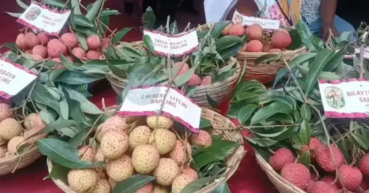Assam CM Office: Tezpur Litchi Heads to Dubai, Singapore