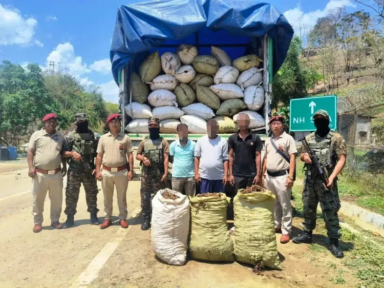 Assam Rifles Intercepts Smuggling of Rare Medicinal Plant in Mizoram, Three Arrested