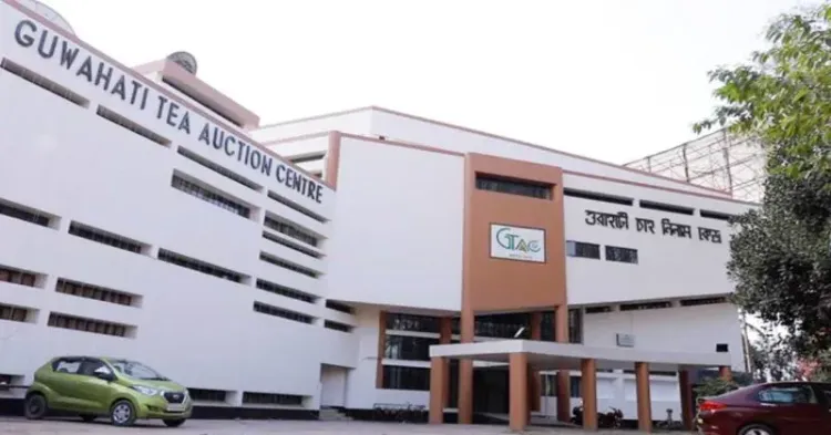 Assam Tea Hits ₹800/kg at Guwahati Auction