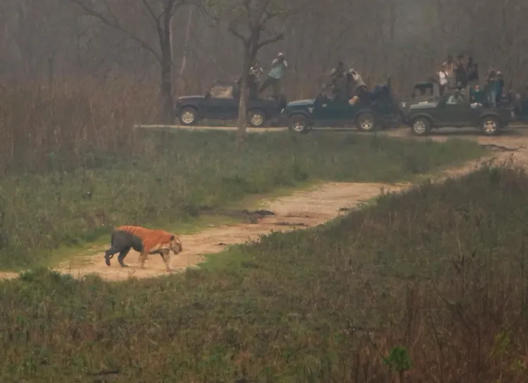 Kaziranga National Park Achieves Record Tourist Influx of Over 4.06 Lakh in 2024-25