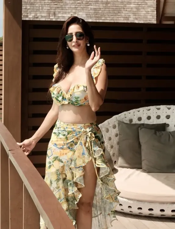 Chahatt Khanna backs Rohit Roy's TV remark: 'TV is standing nowhere'