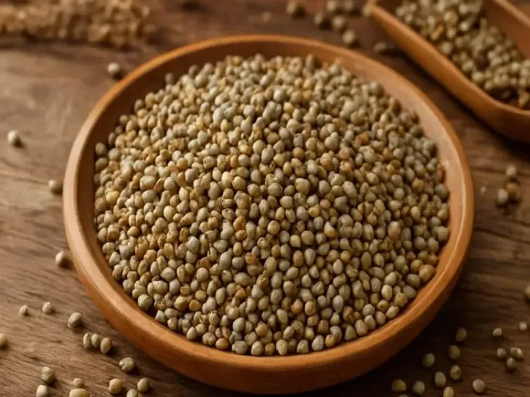 क्या बाजरा और सेहत का है खास कनेक्शन, हड्डियों को मजबूती देने में कारगर?