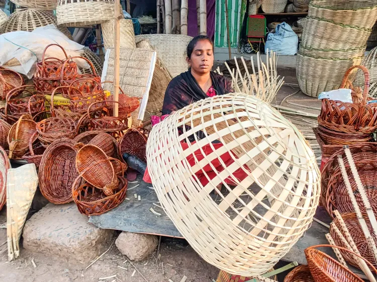 Bamboo sector reforms boost innovation, create 30 million man-days yearly