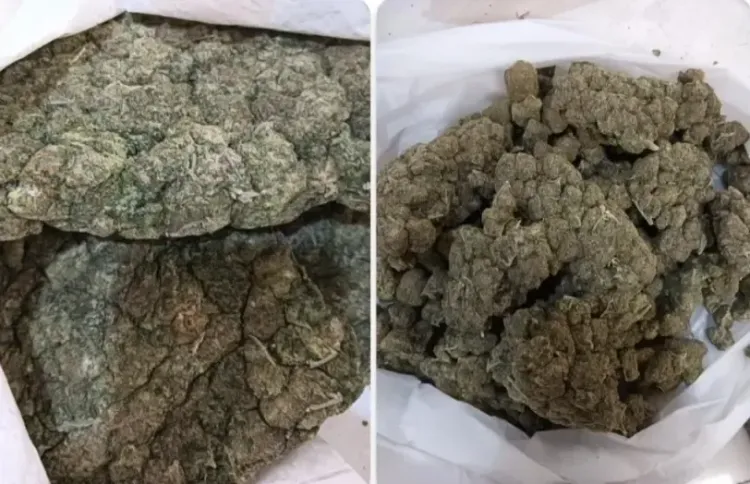 क्या बैंकॉक से आए यात्रियों से बड़ी मात्रा में ड्रग्स जब्त हुई?