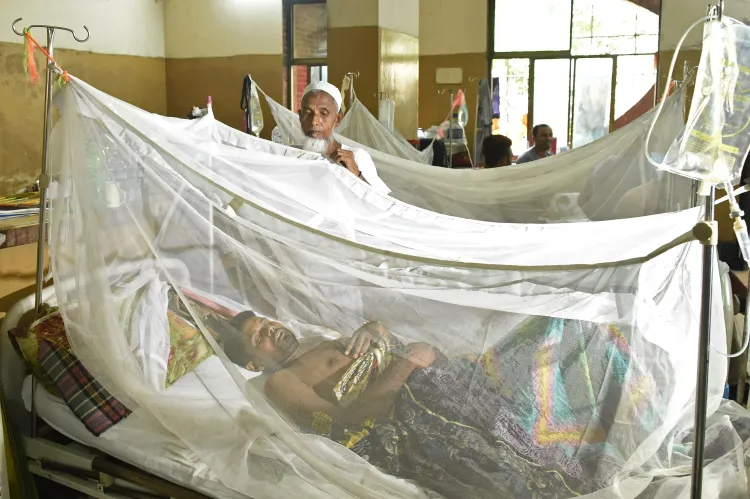 What is the impact of dengue in Bangladesh as 2025 death toll crosses 280?