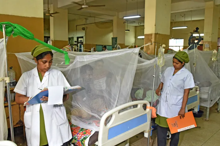 What is the Current Status of Dengue Deaths in Bangladesh?