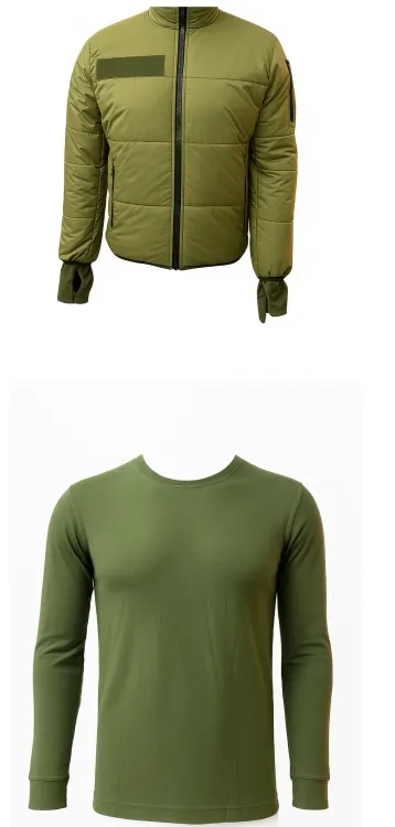 क्या भारतीय सेना ने अपने नए डिजाइन कोट को बौद्धिक संपदा अधिकार के तहत सुरक्षित किया है?