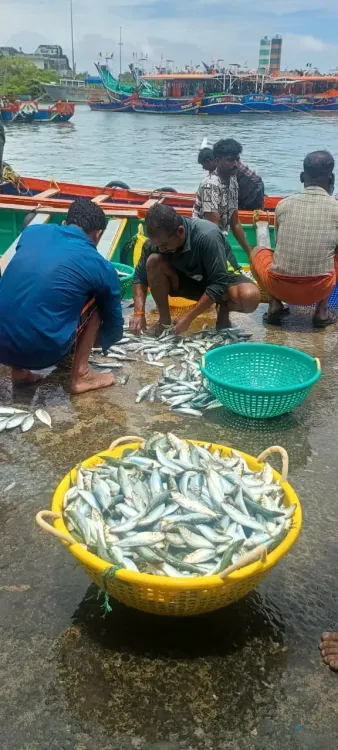 Bay of Bengal nations adopt AI for fisheries governance and IUU crackdown