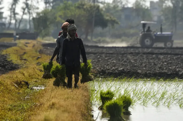 PDS rice quality upgraded for 80 crore PMGKAY beneficiaries, broken grain cap cut
