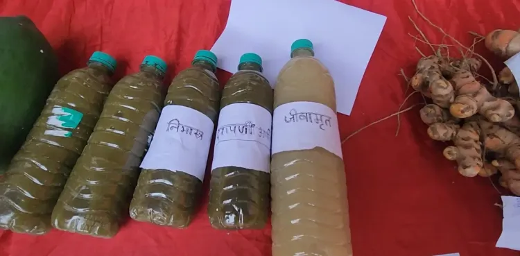 क्या भागलपुर में प्राकृतिक खेती को बढ़ावा दिया जा रहा है?