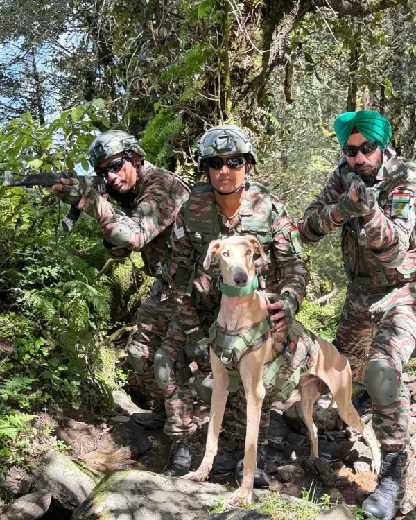 युद्ध अभ्यास 2026: भारतीय सेना के सैन्य डॉग्स ने अमेरिकी सैनिकों के सामने दिखाया दम, रामपुर हाउंड की खास भूमिका