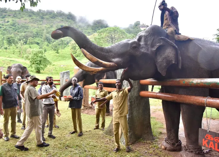 Bhupender Yadav visits Kozhikamudi Elephant Camp in Annamalai Reserve