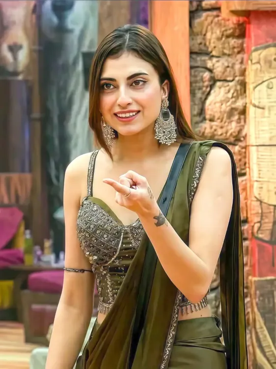 Did Farrhana Bhatt Just Challenge Shehbaz Badesha in Bigg Boss 19?