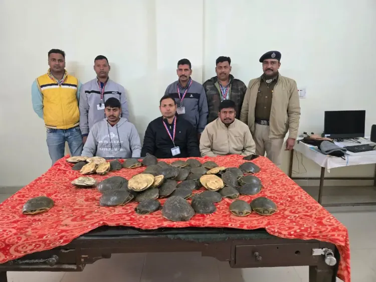 क्या गया रेलवे स्टेशन पर खड़ी दून एक्सप्रेस से 48 कछुए बरामद हुए?