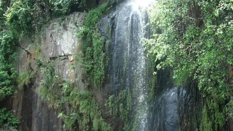 ककोलत जलप्रपात: 160 फीट ऊंचाई से गिरता शीतल झरना, पौराणिक मान्यता में श्रीकृष्ण का स्नान स्थल