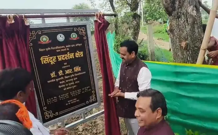 बिहार कृषि विश्वविद्यालय ने रामासी गांव को बनाया भारत का पहला 'सिंदूर ग्राम', 100 महिला किसानों को मिला लाभ