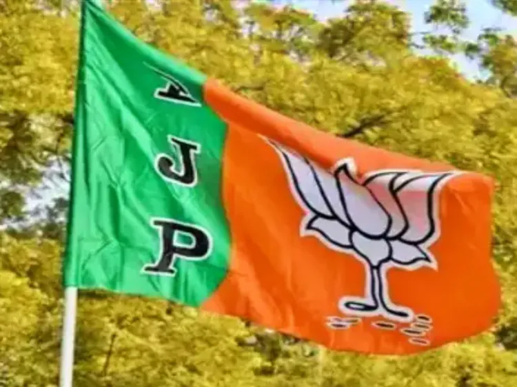 Who Will Represent BJP in Mizoram's Dampa Assembly Bypoll?