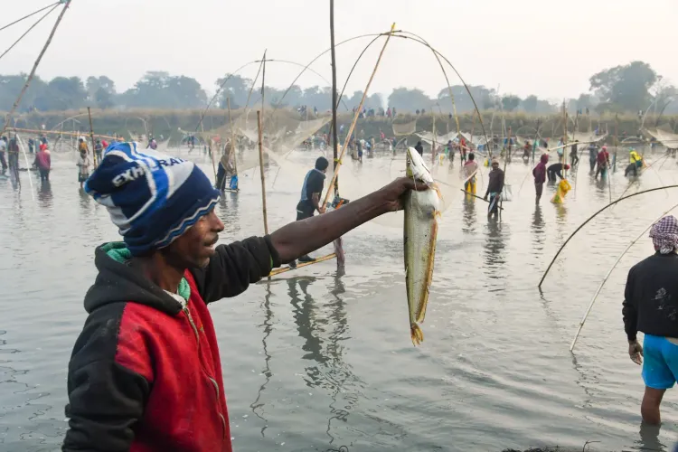 Cold-water fisheries: 3% of India's inland fish output, trout up 1.8x in a decade