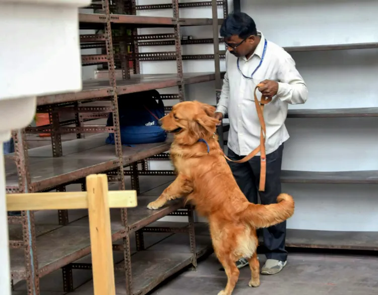 What sparked the bomb threat at Coimbatore Collectorate?