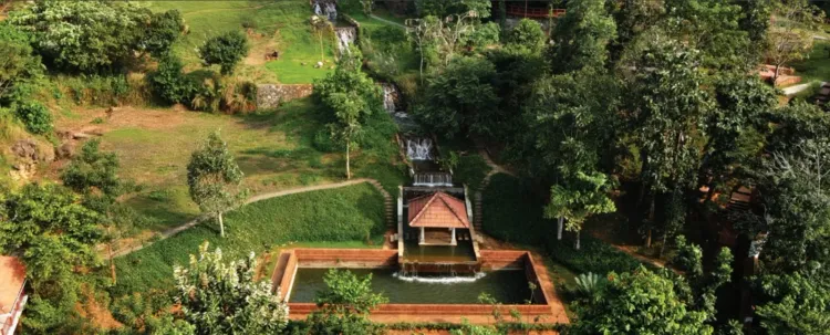 How is the 17th-century garden ‘Hortus Malabaricus’ thriving in modern Kerala?