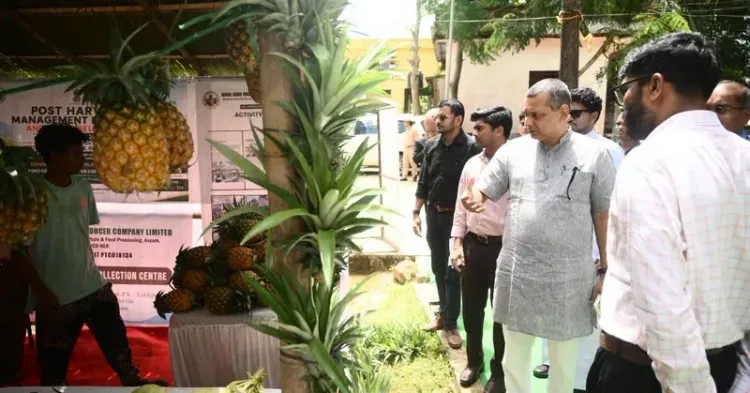 Cachar Pineapples Enter Dubai Market, Boosting Assam Agri-Exports