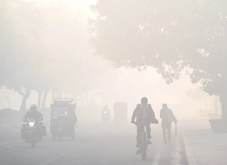 What Steps Did CAQM Take to Mitigate Dust on 133 Delhi Roads?
