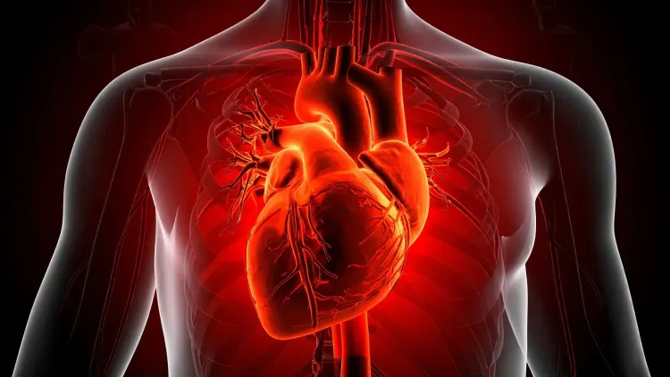 Are Cardiovascular Diseases Responsible for 1 in 3 Global Deaths in 2023?