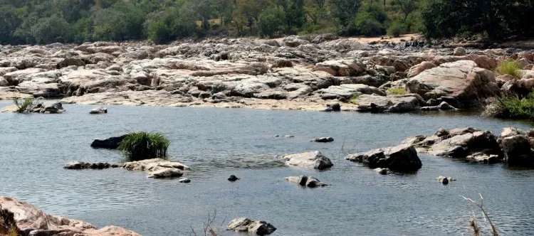 Cauvery water row: SC allows Tamil Nadu to move CWMA, next hearing Aug 31