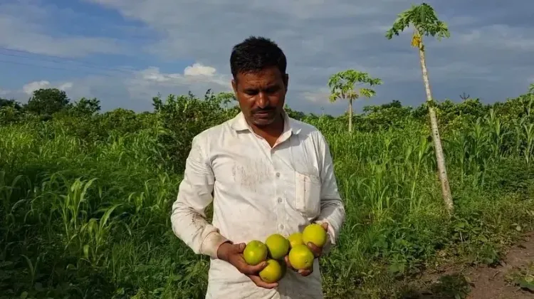 VB-G RAM G scheme lifts Jalna farmer with sweet lime orchard income
