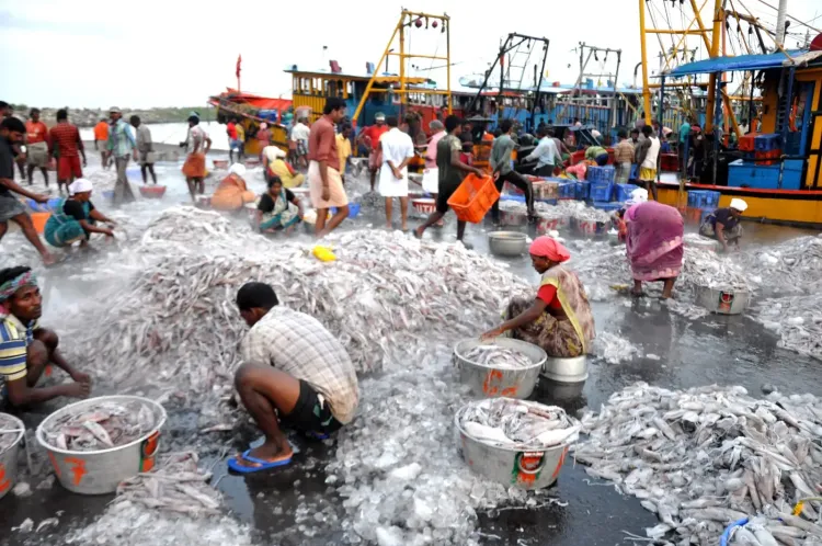 Government Allocates ₹3,490 Crore for Fishing Harbours to Boost Exports