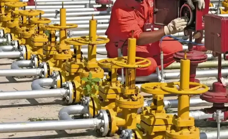 Centre pushes LPG-to-PNG switch, asks states for district-level support