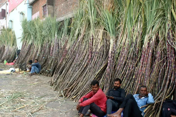 Sugarcane FRP hiked to ₹365 per quintal for Sugar Season 2026-27