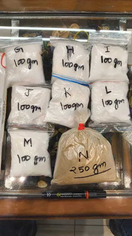 Pakistan-linked drug network busted in Kharar; NCB seizes 793g Meth
