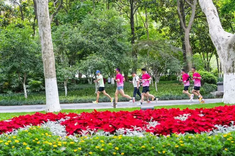 क्या चीन में अच्छे स्वास्थ्य के लिए पहला स्थानीय कानून लागू हो गया है?