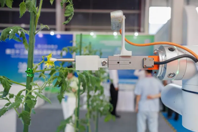 क्या चीन नवाचार के साथ-साथ बायोमैन्युफैक्चरिंग के क्षेत्र में विशेष ध्यान दे रहा है?