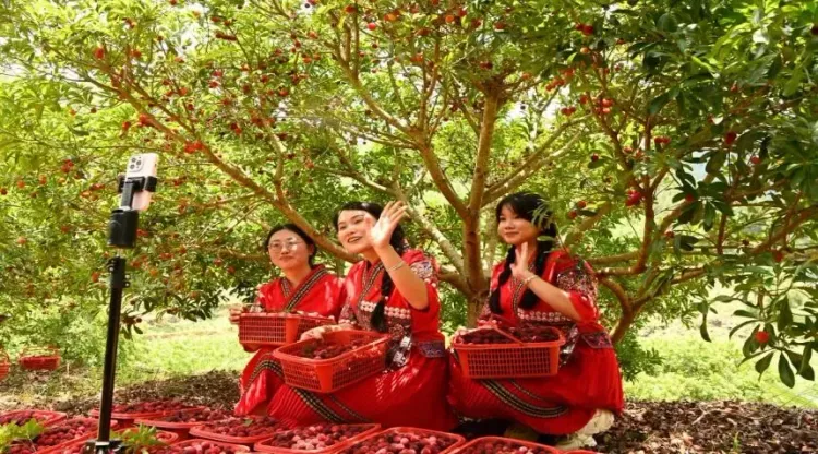 चीन ने शासन की उपलब्धियों का मूल्यांकन कैसे किया