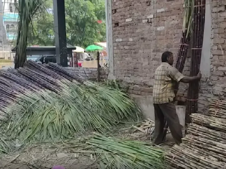 क्या लोक आस्था का महापर्व छठ ने गन्ना किसानों को खुश किया?