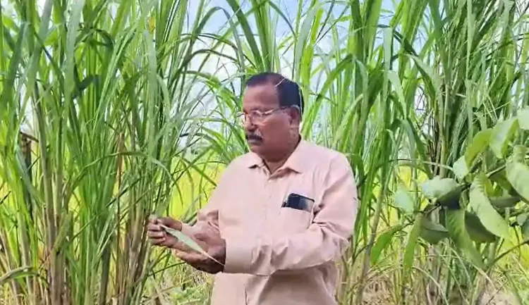How Did Chhattisgarh Farmer Vaman Tikriha Earn the Khubchand Baghel Krishak Ratna Award for Organic Innovation?