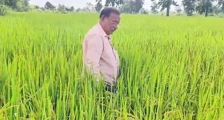 क्या वामन टिकरिहा ने छत्तीसगढ़ की मिट्टी से नया गौरव उभारा है?