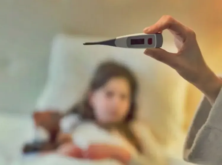 चिकनगुनिया और डेंगू: लक्षण, रोकथाम और घरेलू उपायों में अंतर जानें