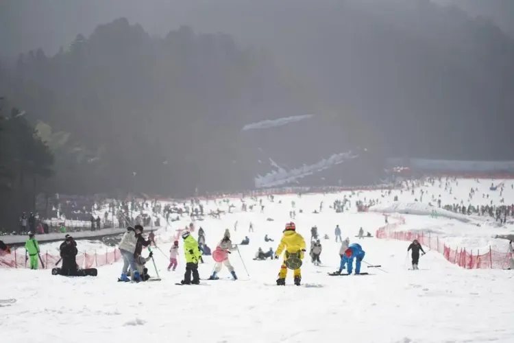 How Did a Travelator Accident Lead to the Death of a Child at a Ski Resort in Hokkaido?
