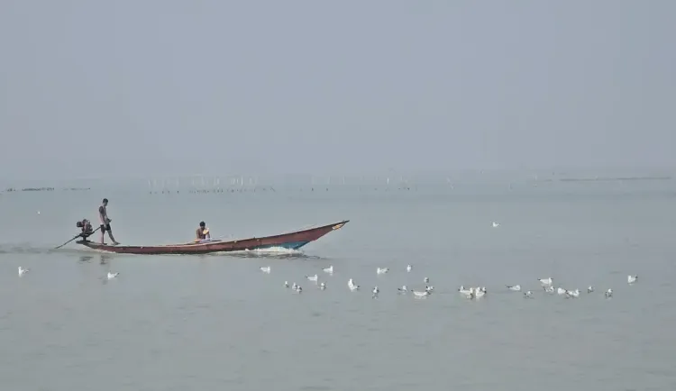 क्या चिल्का झील में डॉल्फिन गणना का सर्वे शुरू हो गया है?